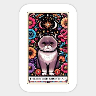 British Shorthair Tarot Card Sticker